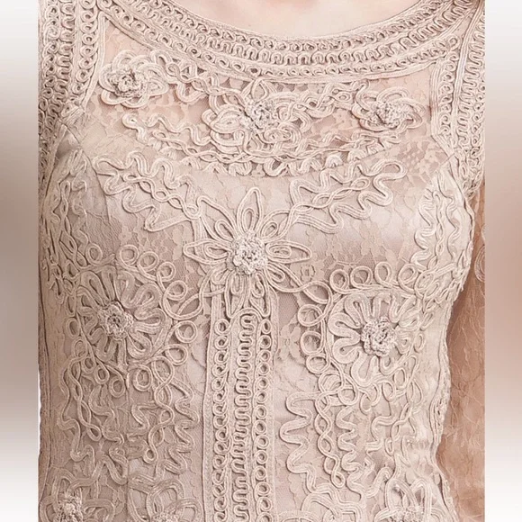 Sue Wong Nocturne Crochet Lace ribbon and rosette mesh sheath Beige dress size 2